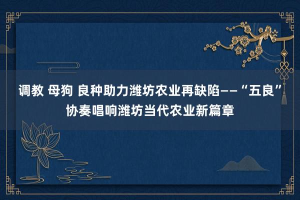 调教 母狗 良种助力潍坊农业再缺陷——“五良”协奏唱响潍坊当代农业新篇章