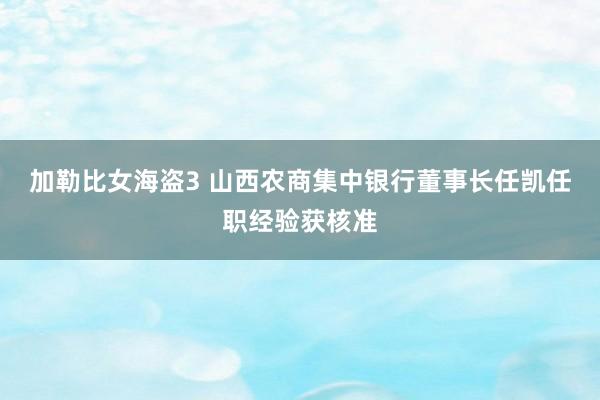 加勒比女海盗3 山西农商集中银行董事长任凯任职经验获核准