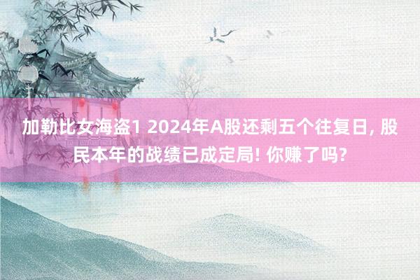 加勒比女海盗1 2024年A股还剩五个往复日， 股民本年的战绩已成定局! 你赚了吗?