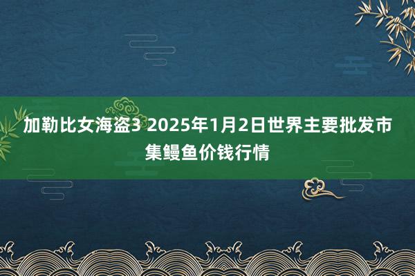 加勒比女海盗3 2025年1月2日世界主要批发市集鳗鱼价钱行情