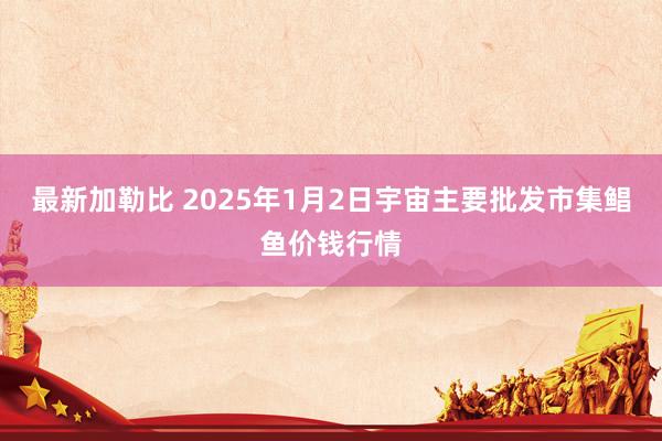 最新加勒比 2025年1月2日宇宙主要批发市集鲳鱼价钱行情