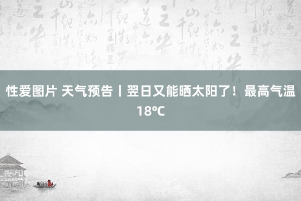 性爱图片 天气预告丨翌日又能晒太阳了！最高气温18℃