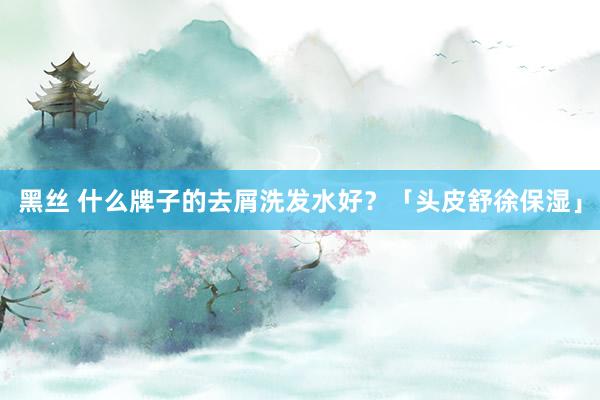 黑丝 什么牌子的去屑洗发水好？「头皮舒徐保湿」