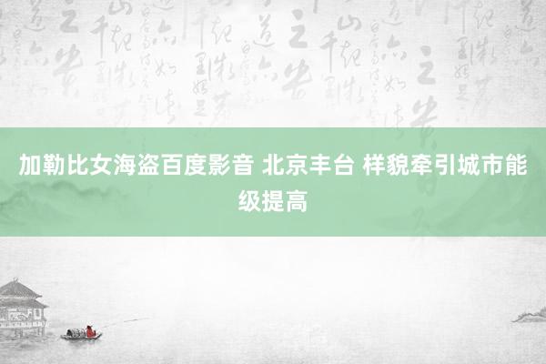 加勒比女海盗百度影音 北京丰台 样貌牵引城市能级提高