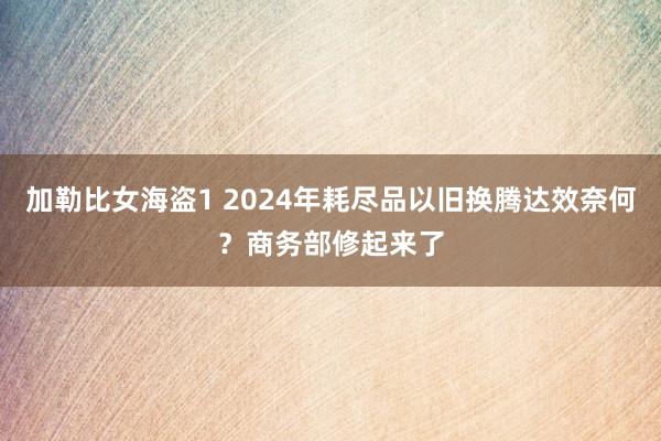 加勒比女海盗1 2024年耗尽品以旧换腾达效奈何？商务部修起来了