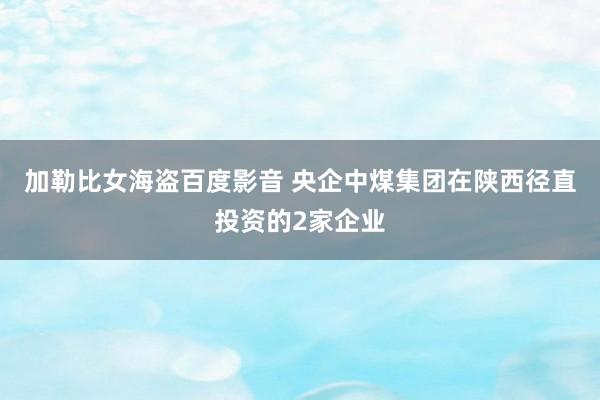 加勒比女海盗百度影音 央企中煤集团在陕西径直投资的2家企业