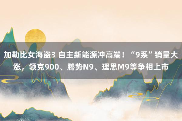 加勒比女海盗3 自主新能源冲高端！“9系”销量大涨，领克900、腾势N9、理思M9等争相上市