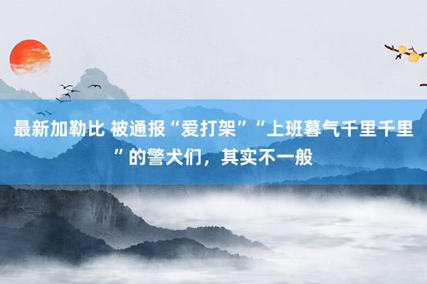 最新加勒比 被通报“爱打架”“上班暮气千里千里”的警犬们，其实不一般