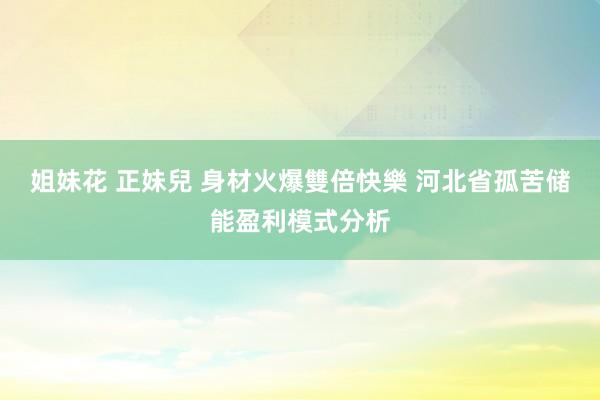 姐妹花 正妹兒 身材火爆雙倍快樂 河北省孤苦储能盈利模式分析