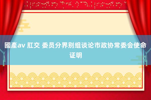 國產av 肛交 委员分界别组谈论市政协常委会使命证明