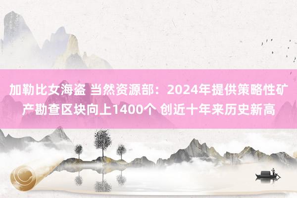 加勒比女海盗 当然资源部：2024年提供策略性矿产勘查区块向上1400个 创近十年来历史新高