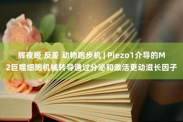 辉夜姬 反差 动物跑步机 | Piezo1介导的M2巨噬细胞机械转导通过分泌和激活更动滋长因子